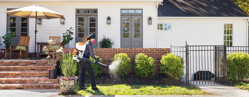 technician spraying the bushes in front of a house