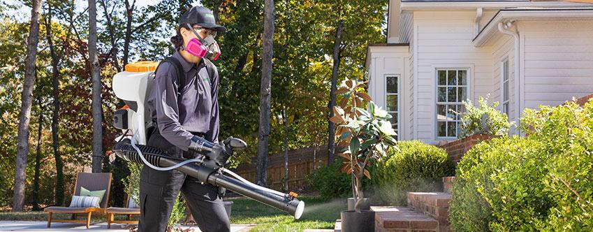 Technician spraying bushes for mosquito control