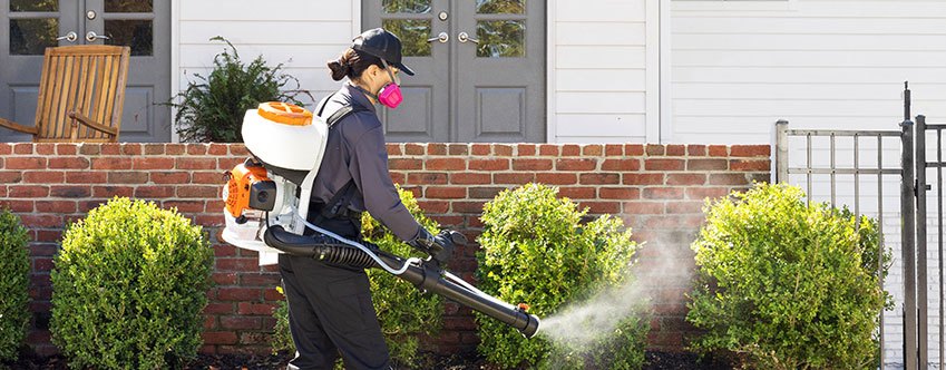 Technician spraying bushes for tick control