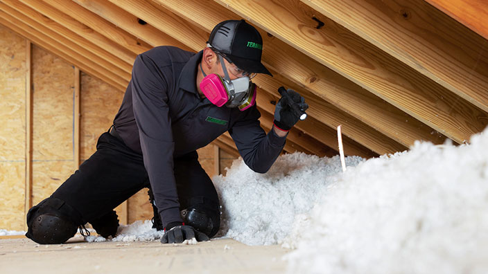 attic insulation inspection