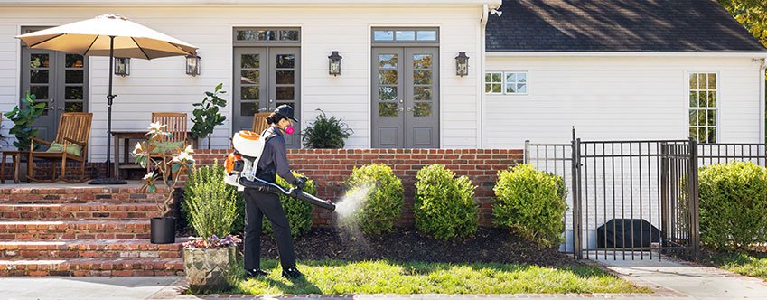 technician spraying mosquito pesticide