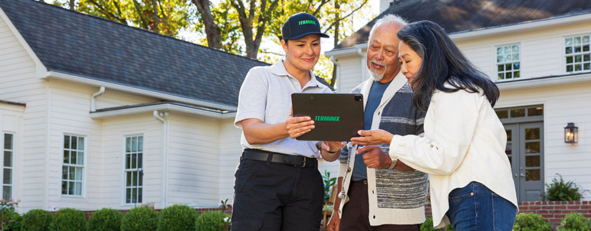 termite control tech termite control tech