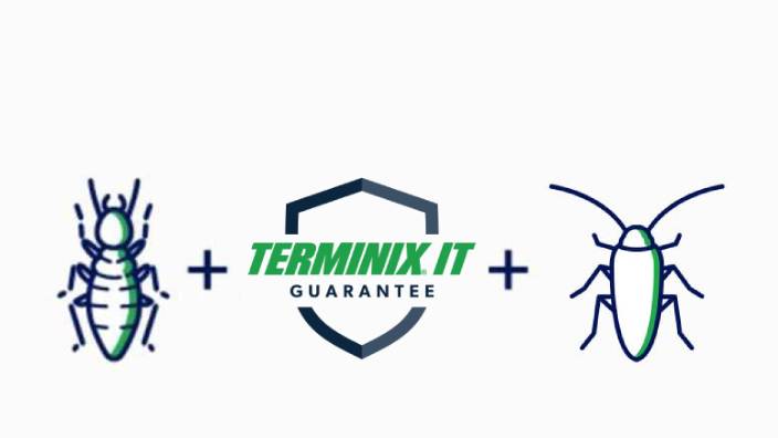 terminix it guarantee - termite + pestfree365