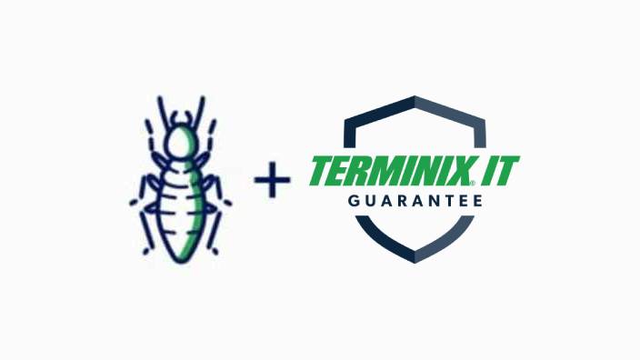 terminix it guarantee