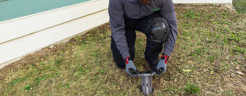 service rep placing termite bait station