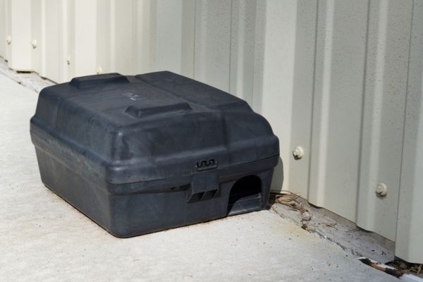 rat trap box