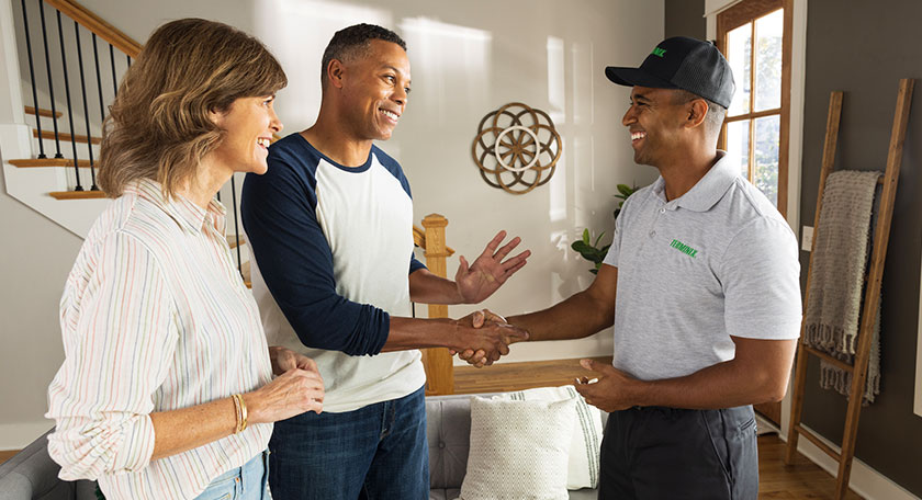 advise on pest control