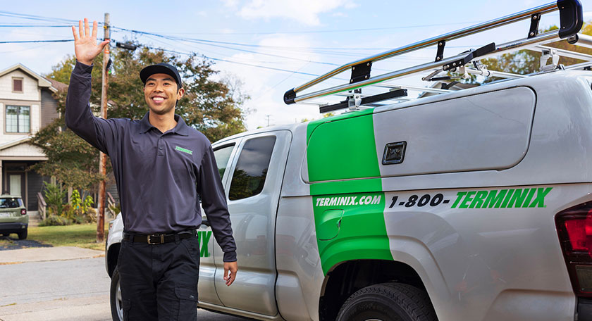 pest control service