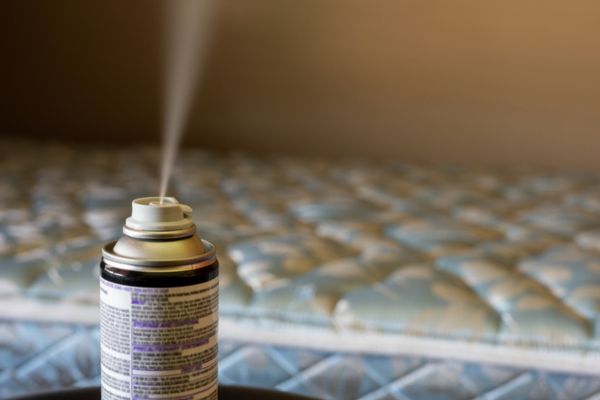 bed bug fogger in bedroom