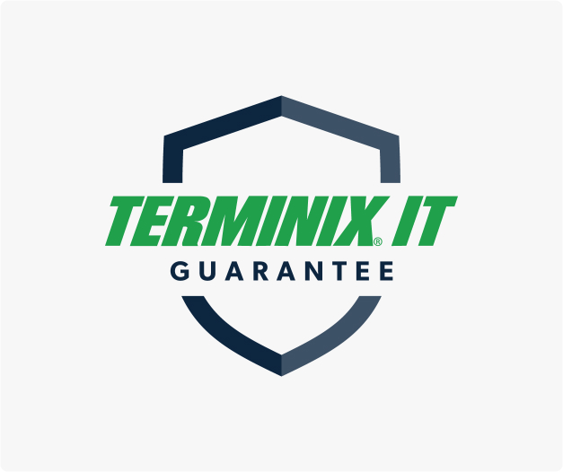 Terminix It guarantee banner