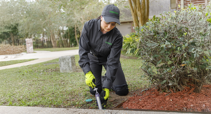 Terminix professional installing termite station