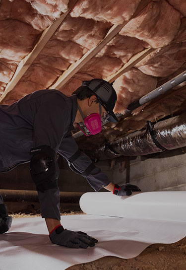 crawl space services