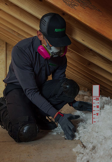 attic insulation