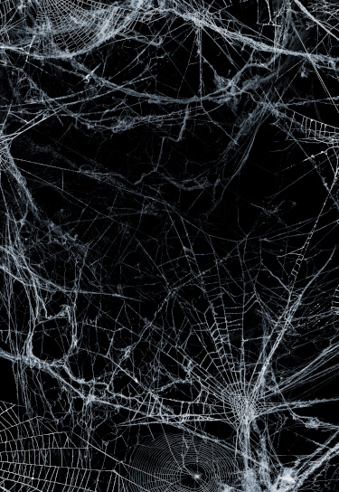 White cobwebs on black background
