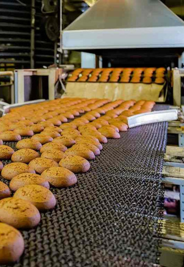 Cookies coming out of food processing machine