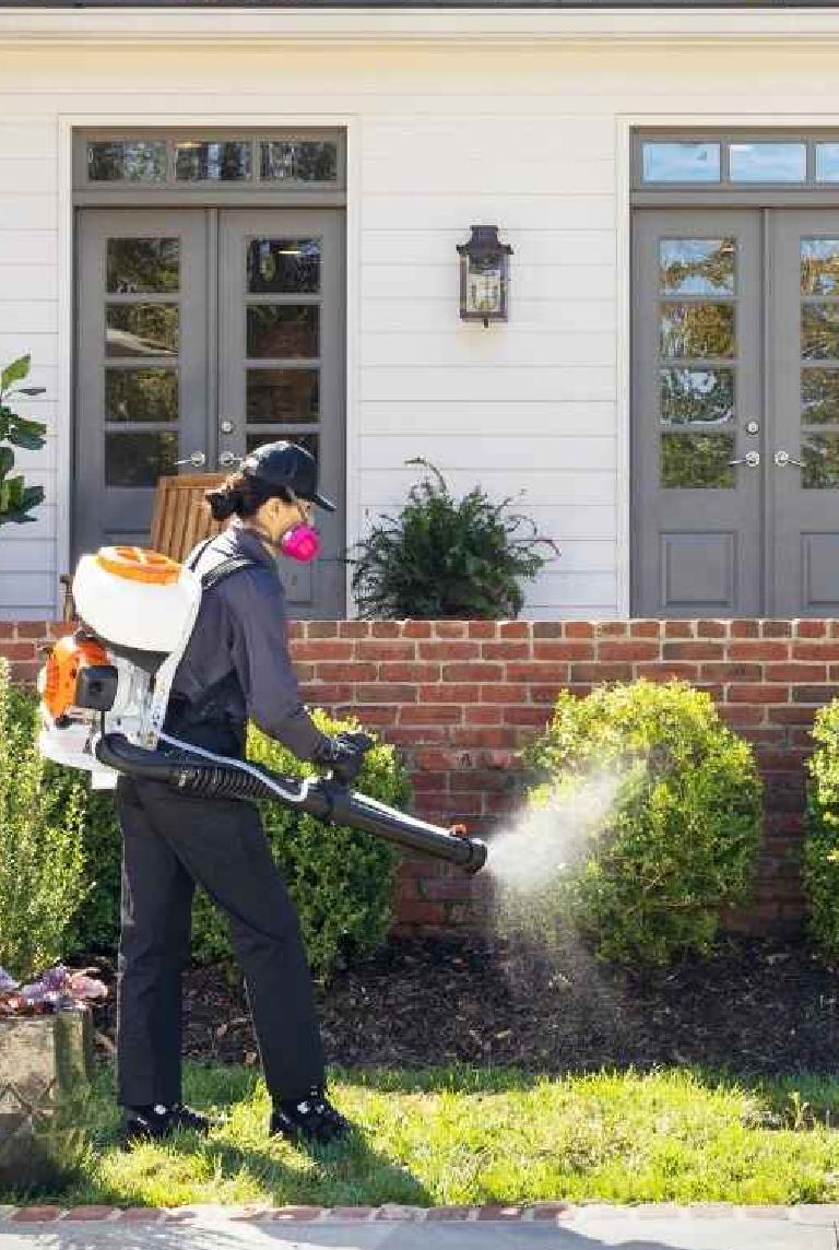 mosquito control