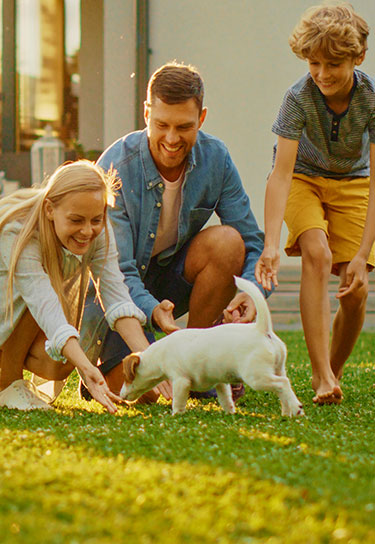 mosquito-family-protection