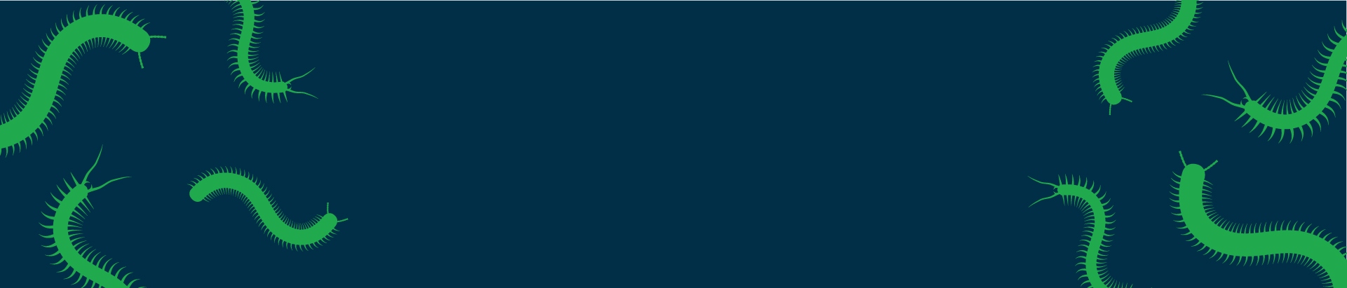 centipede and millipede control