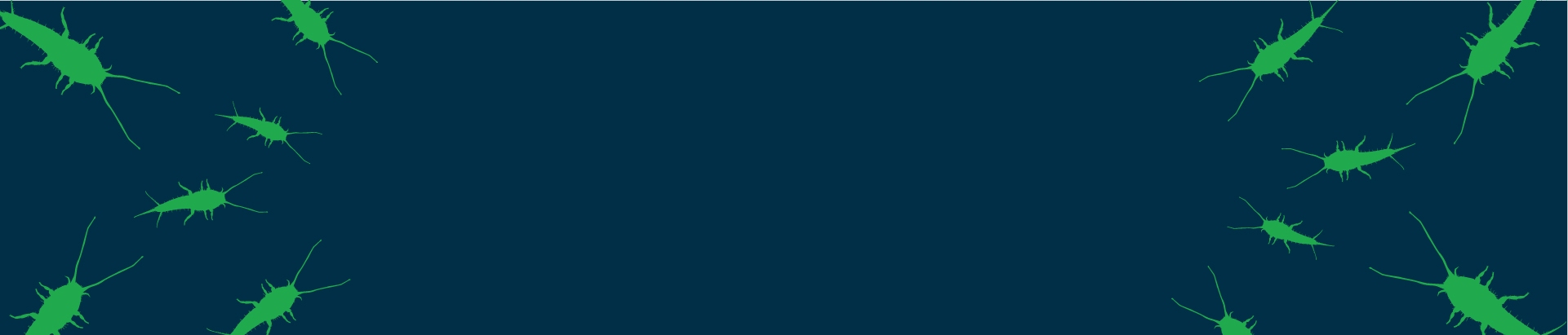 blue and green silverfish control banner