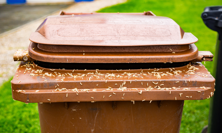 A lot of maggots on a brown trash can