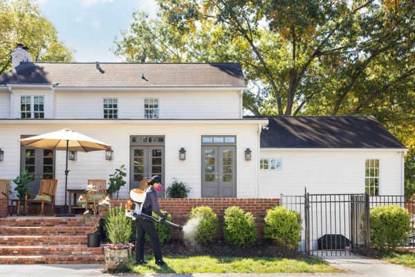 Colleague spraying house