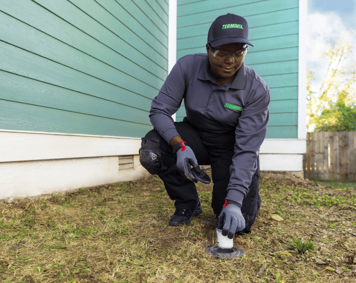 Terminix technician applying termite treatment