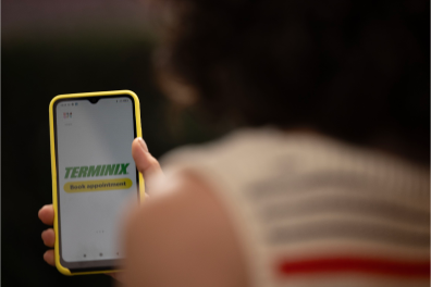 phone showing a Terminix webpage